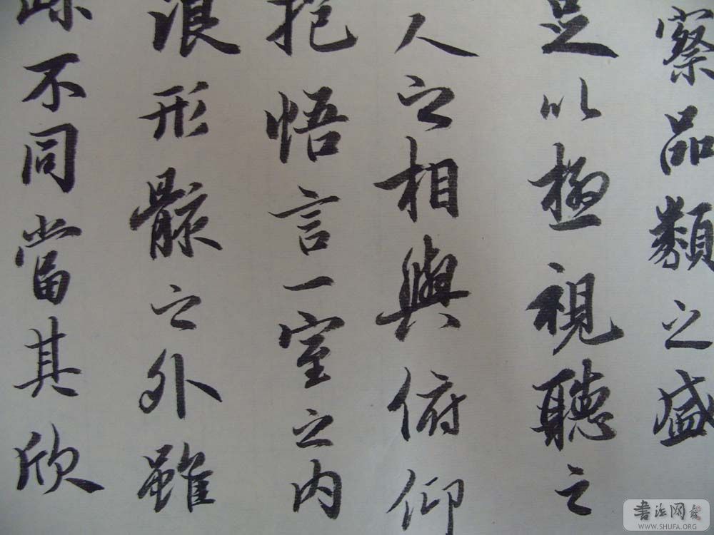 S1050605.jpg