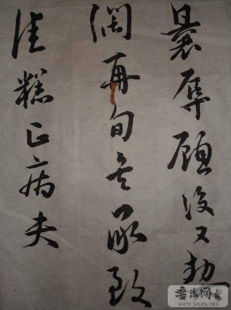 DSC02323.JPG