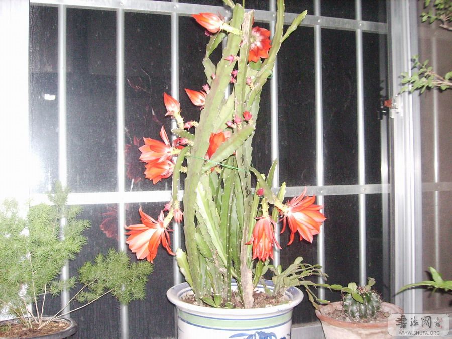 Ƭ 022.jpg