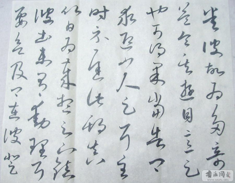 Ƭ 026.JPG