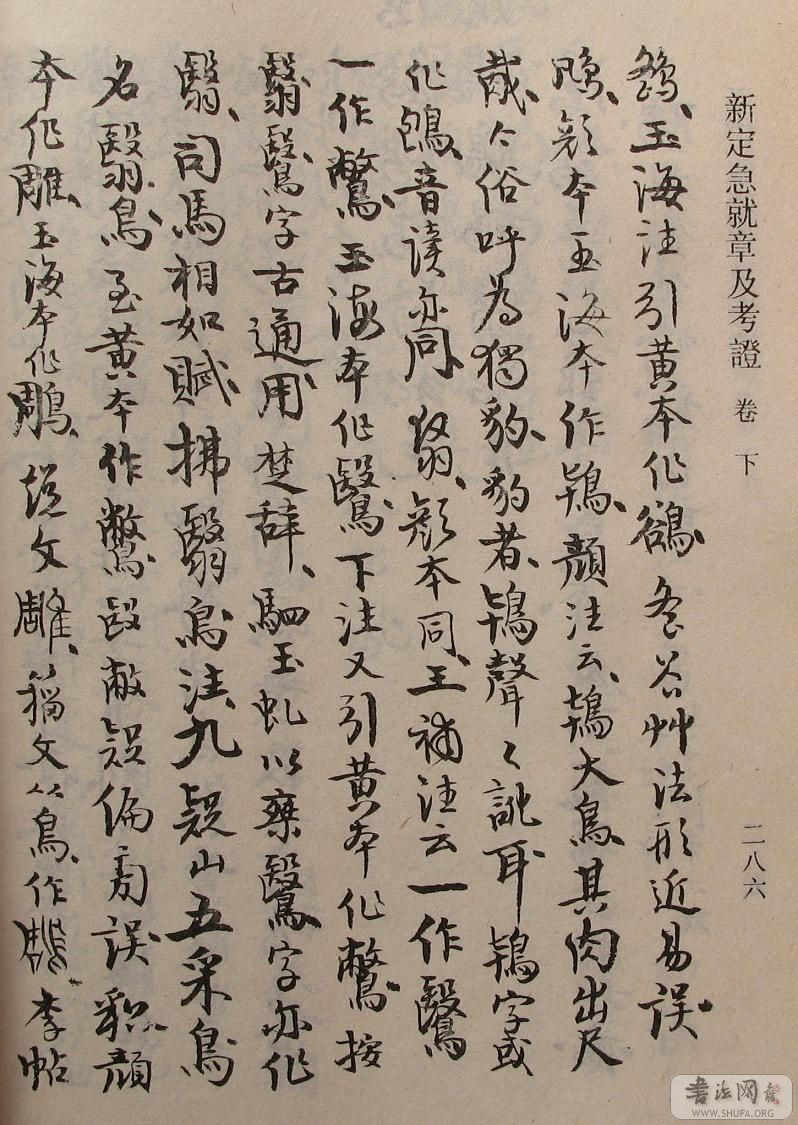 286.JPG