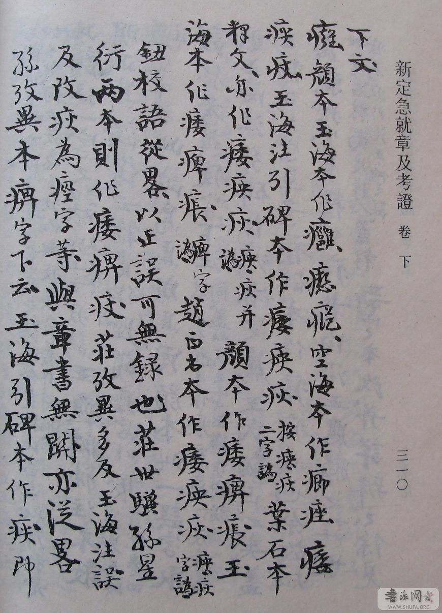 310.JPG