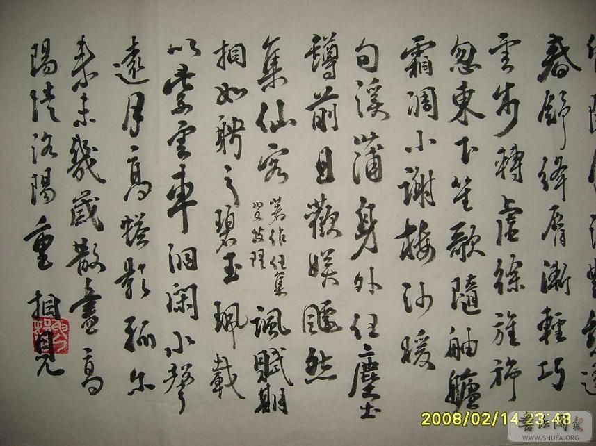 S6001354.JPG
