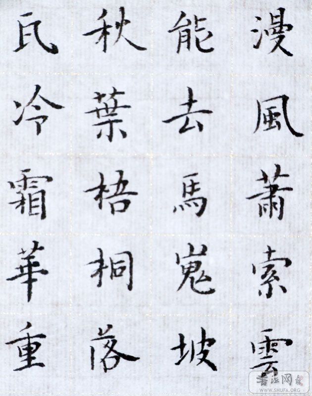 DSCF4709.jpg