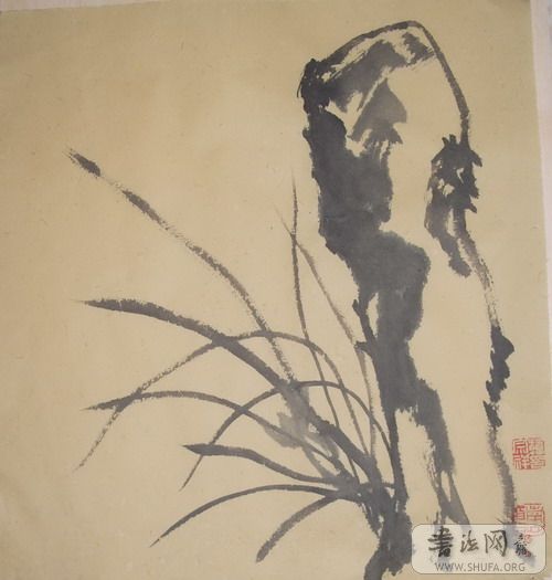 S1054905.jpg