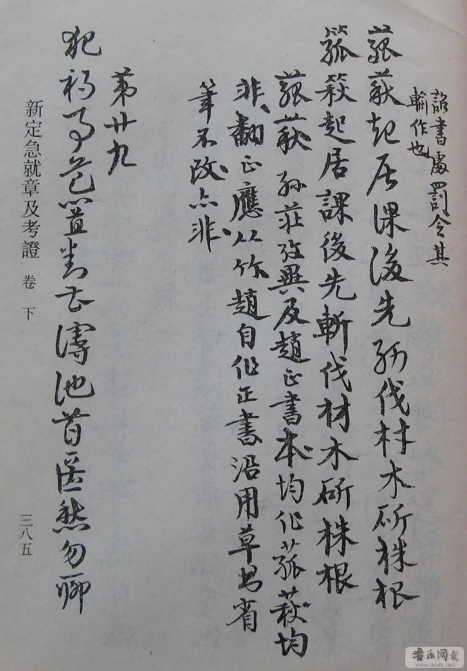 385.JPG