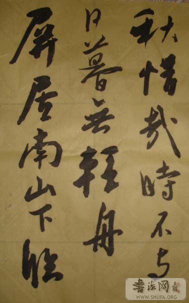 DSC02403.JPG