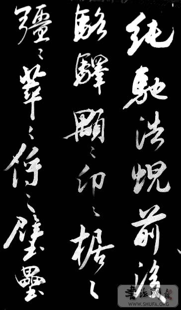 DSC02397.JPG