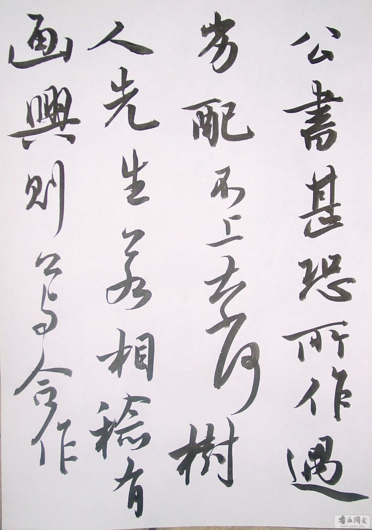 DSC08969.JPG