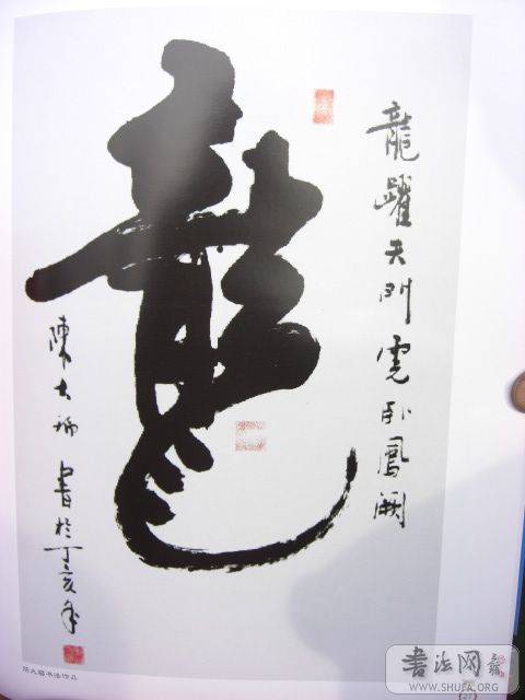 CIMG0461.JPG