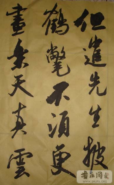 DSC02410.JPG