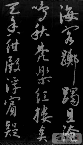 DSC02440.JPG