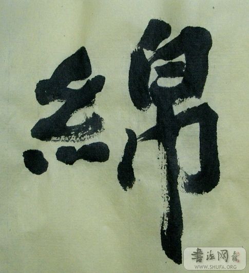 SNV11798.JPG