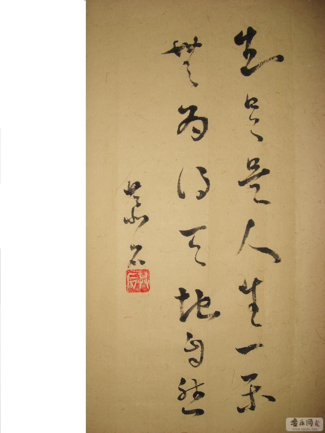 S6001342.JPG
