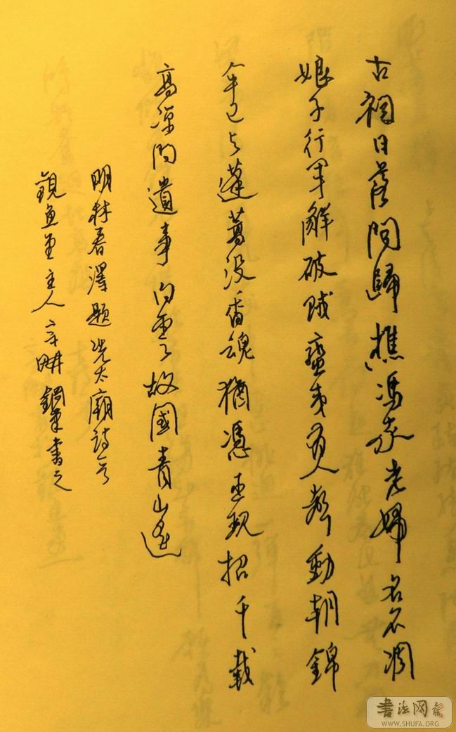 P1030458.jpg