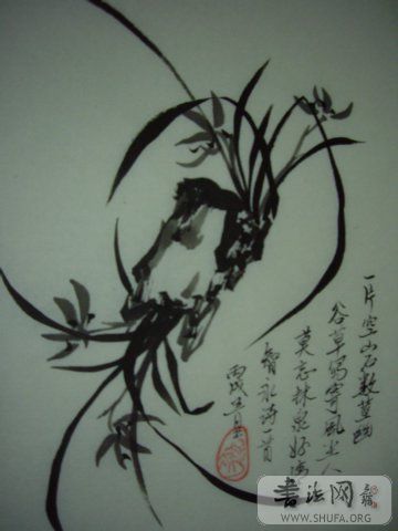 4984f6bd02000cep.jpg