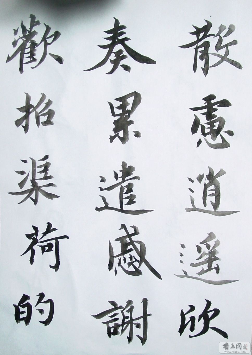 DSC08997.JPG