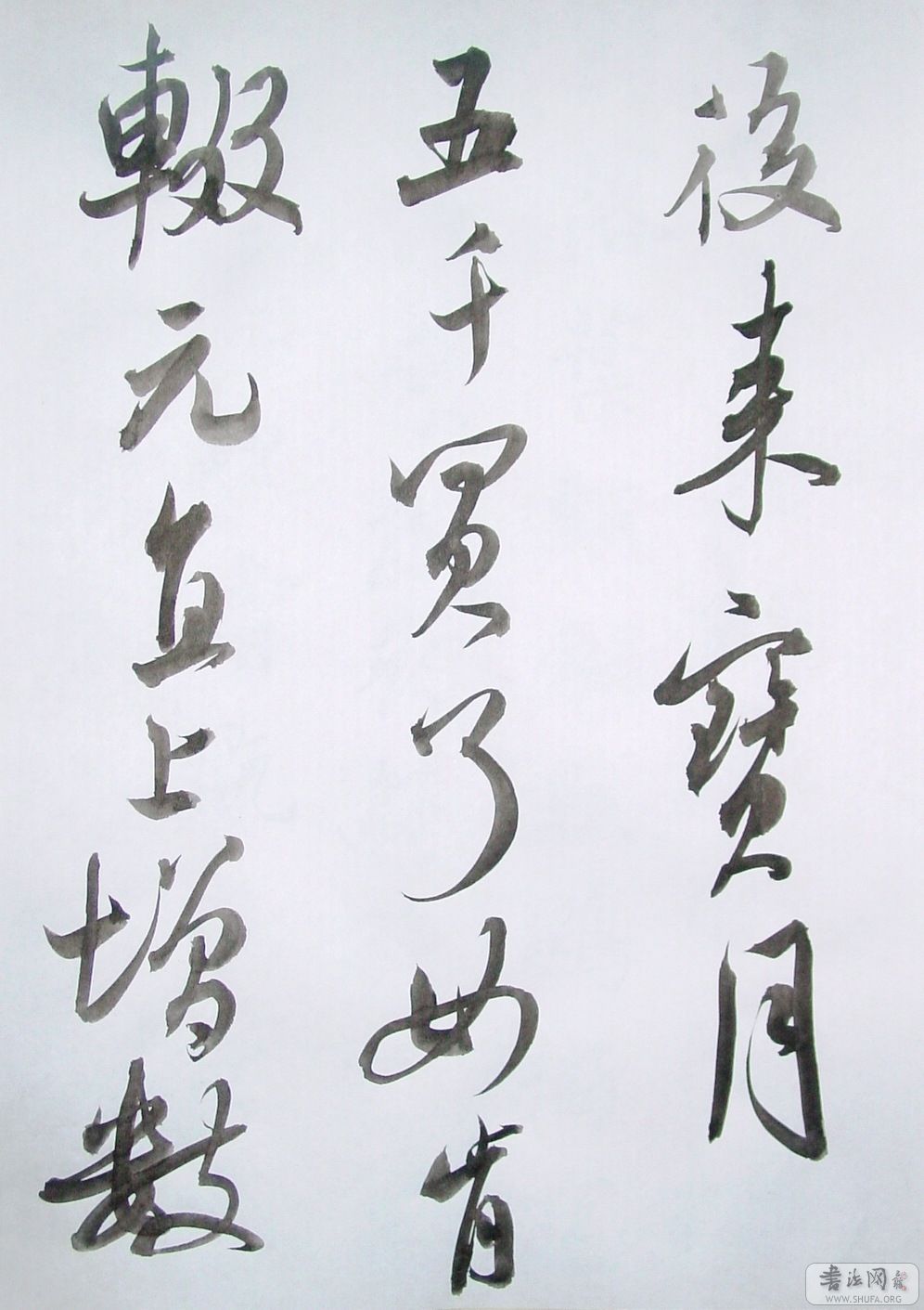 DSC08990.JPG