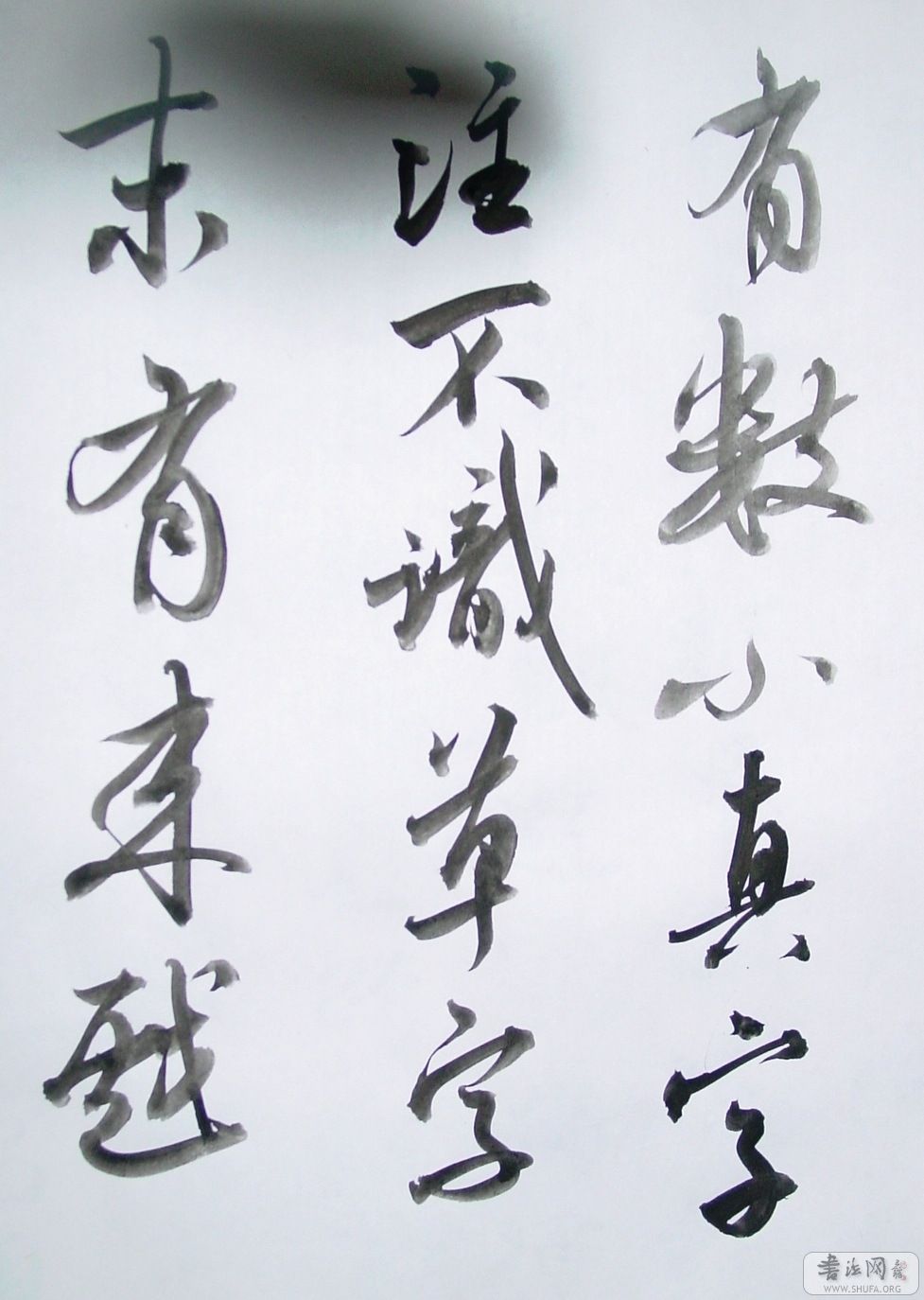 DSC08994.JPG