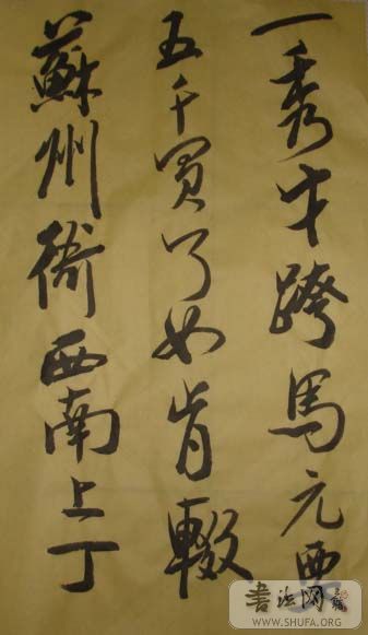 DSC02546.JPG