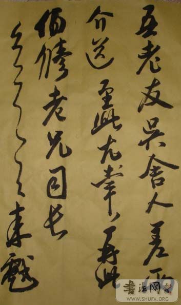 DSC02544.JPG