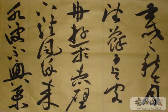 DSC02558.JPG