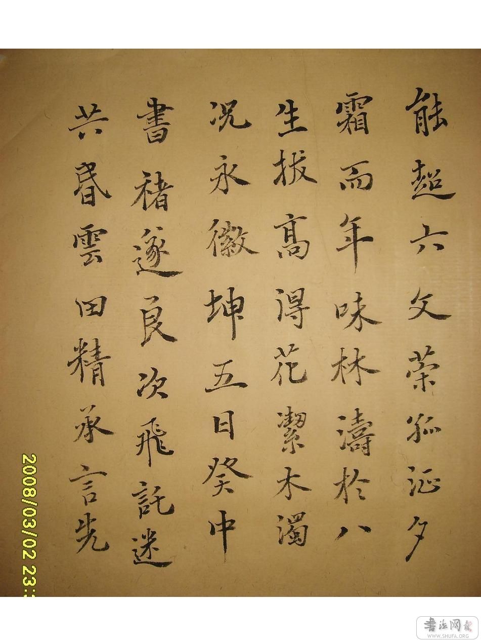 S6001389.JPG