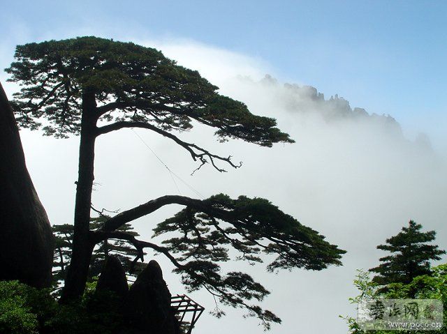 728689820070903125837109_000.jpg