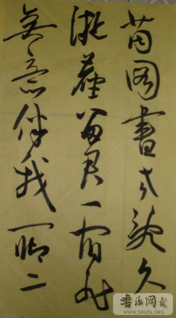 DSC02587.JPG
