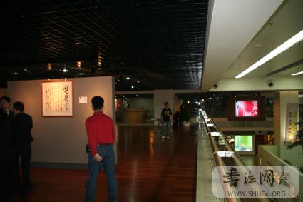 IMG_7717.jpg