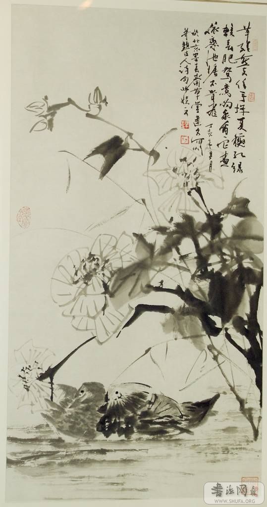 DSCF1111.jpg