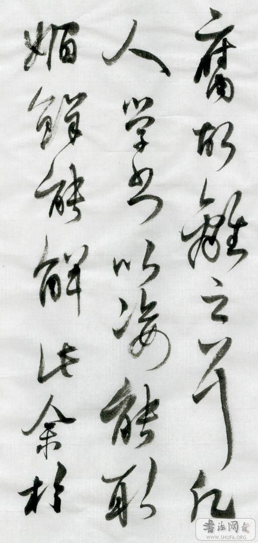l3.jpg