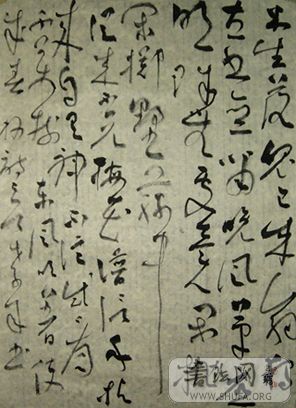 DSCI0947.JPG
