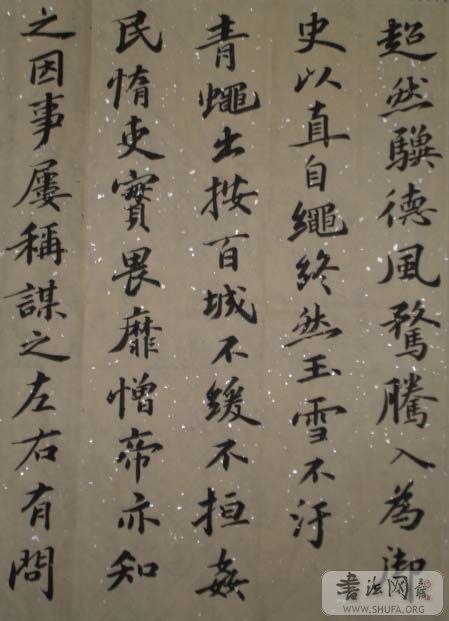 DSC02647.JPG