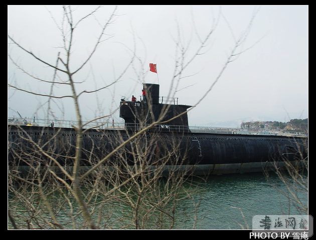 DSC02402.JPG