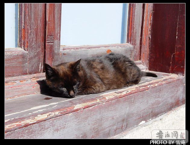 DSC02246.JPG