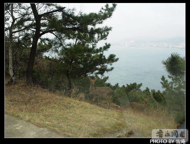 DSC02382.JPG