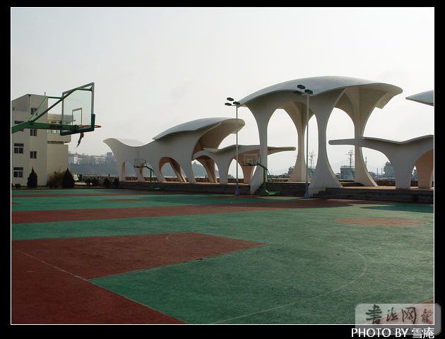 DSC02204.JPG