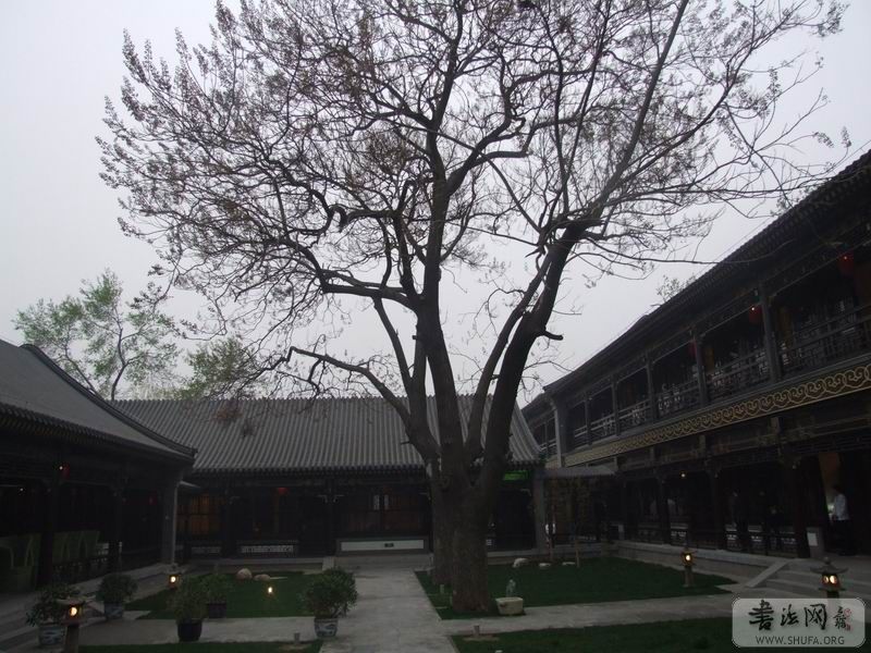 DSCF9320.JPG
