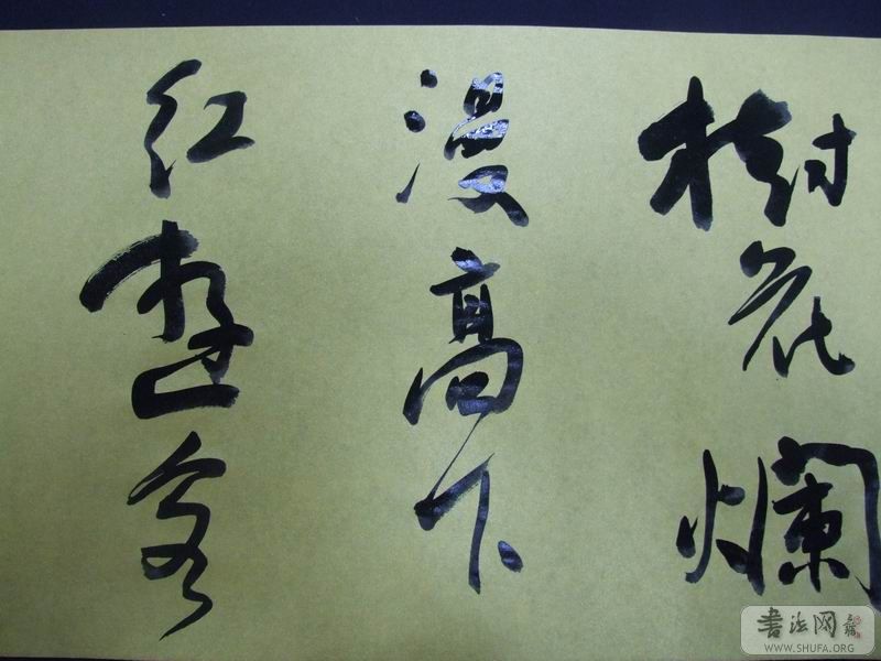 DSCF9433.JPG
