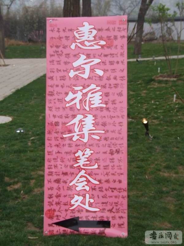 DSCF9249.JPG