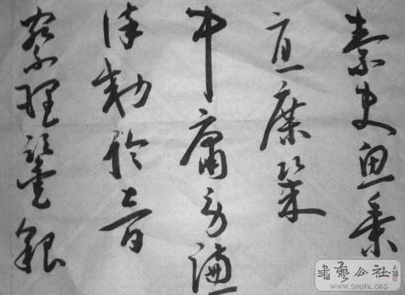 DSC02710.JPG