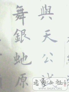 IMG0048A.jpg