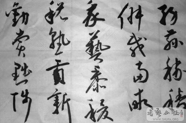 DSC02711.JPG