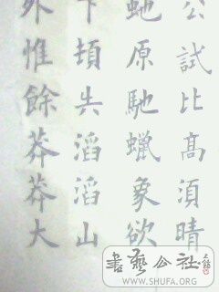 IMG0043A.jpg