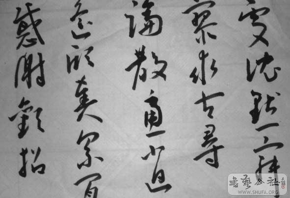 DSC02709.JPG
