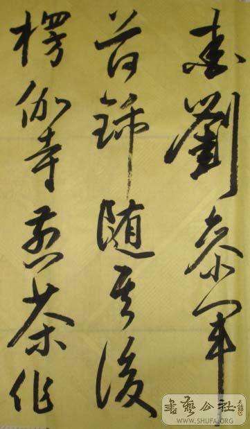 DSC02728.JPG