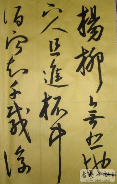 DSC02730.JPG