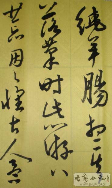 DSC02729.JPG