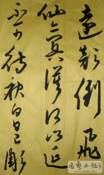DSC02731.JPG